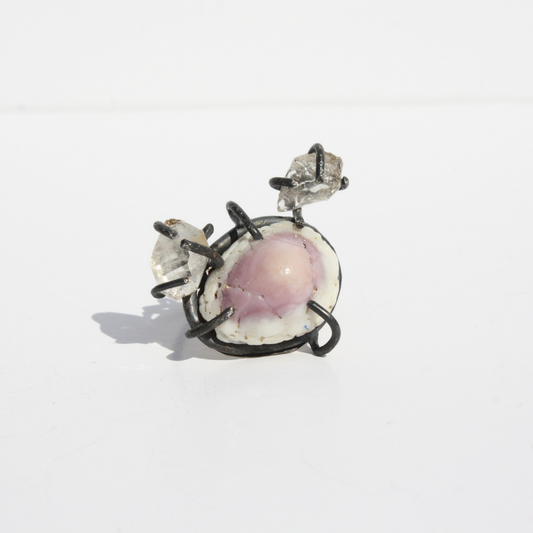 One of a kind Cowrie Shell ring from the Shinnecock (Relative Arts Exclusive)