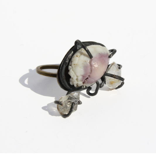 One of a kind Cowrie Shell ring from the Shinnecock (Relative Arts Exclusive)