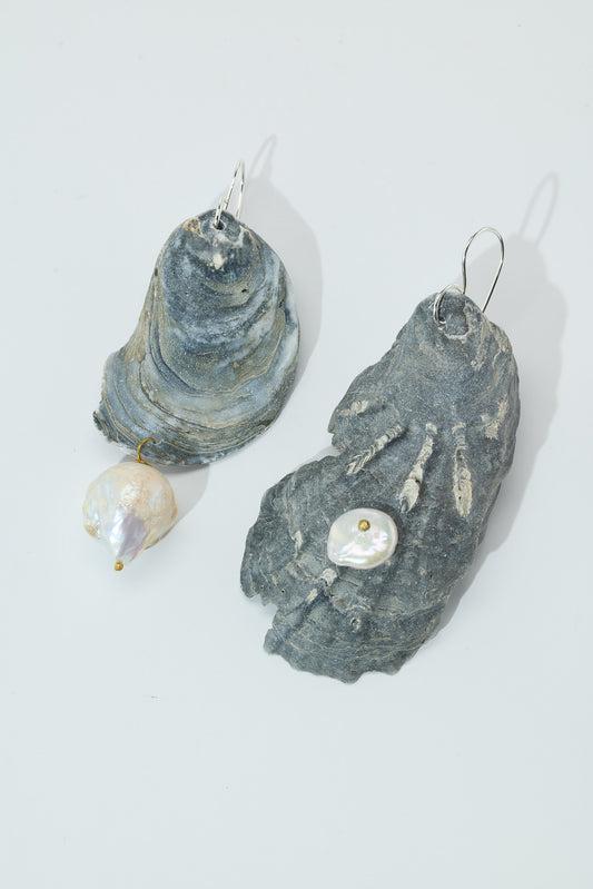 One of a kind fossilized shell earrings